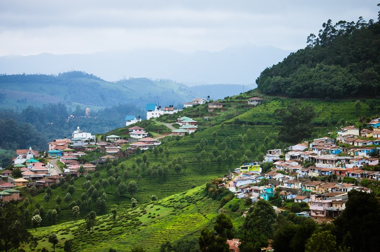 Nilgiri Hills bij Ooty